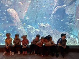 2025-05-20 Biedronki w ZOO